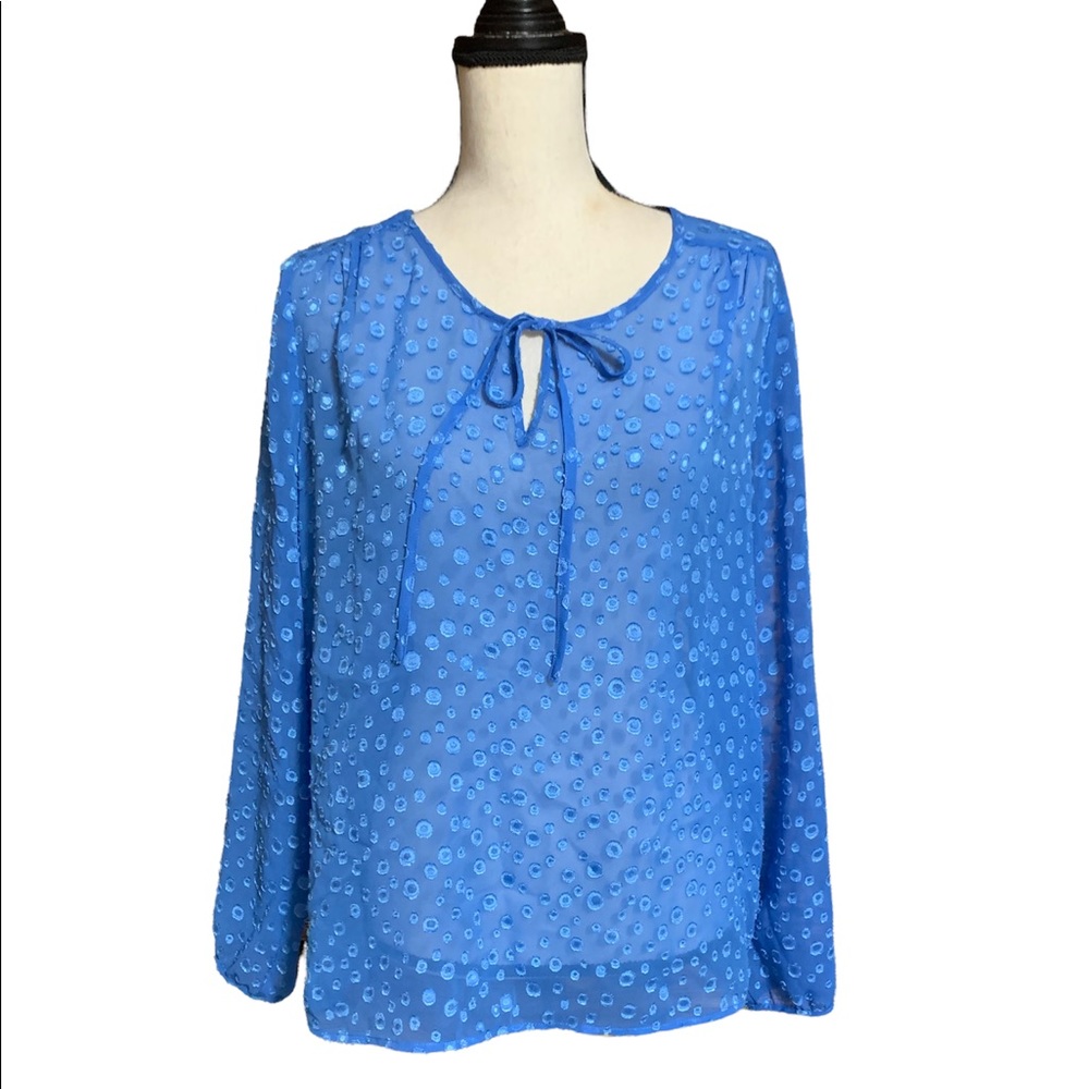 J. Crew Sheer Blue Swiss Dot Tie Neck Top